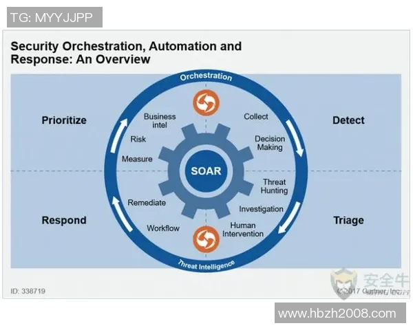 南京排球队的个人能力揭秘与排球技艺的深度探讨