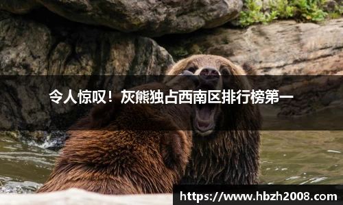 令人惊叹！灰熊独占西南区排行榜第一