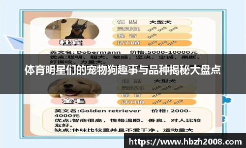 体育明星们的宠物狗趣事与品种揭秘大盘点